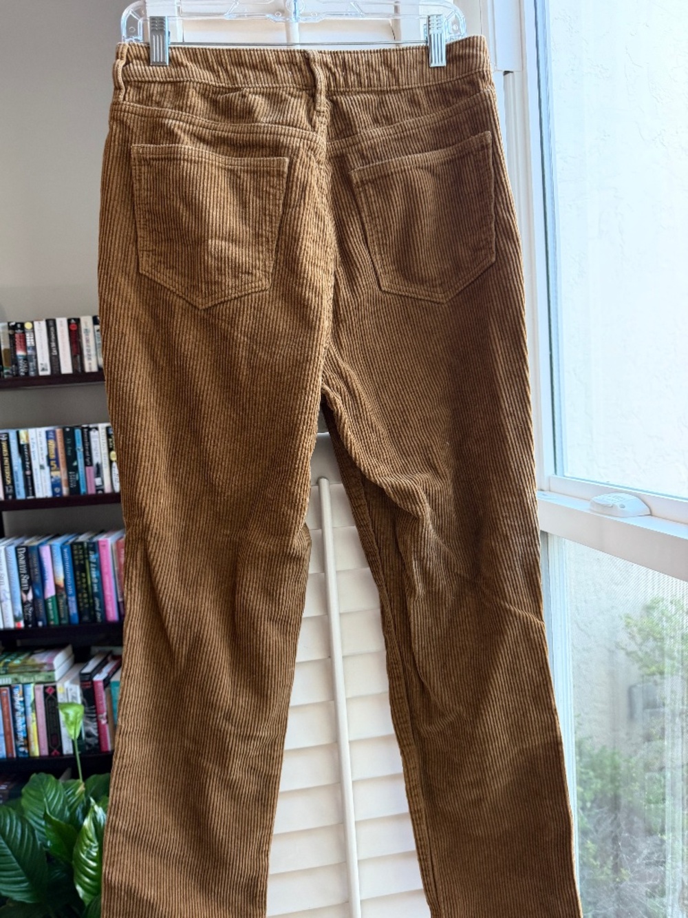 Pacsun tan/goldish corduroy pants size 29